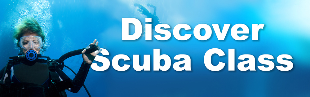 Discover Scuba Class